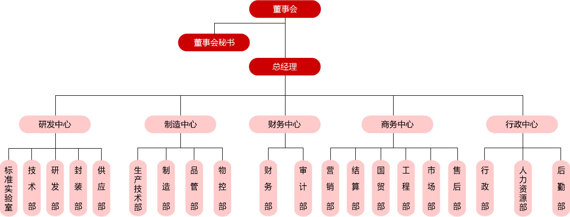 公司組織架構(gòu)